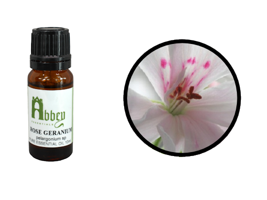 Rose Geranium Essential Oil - Abbey Essentials