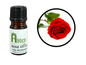 Rose Otto Absolute Oil - Abbey Essentials