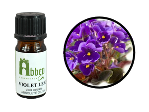 Violet Leaf Absolute Oil - Abbey Essentials