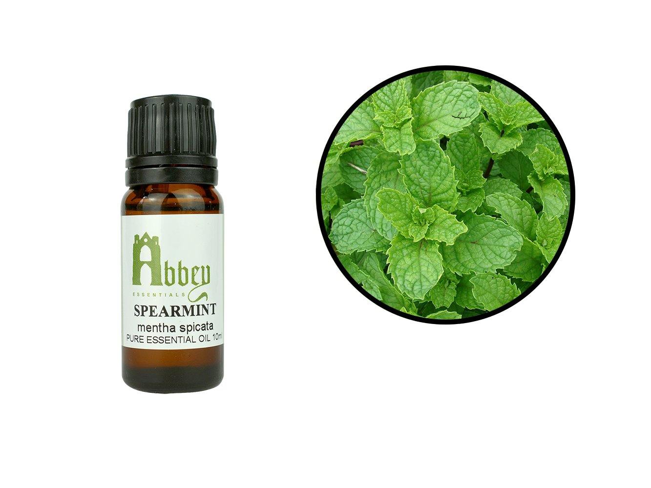 Spearmint Essential Oil